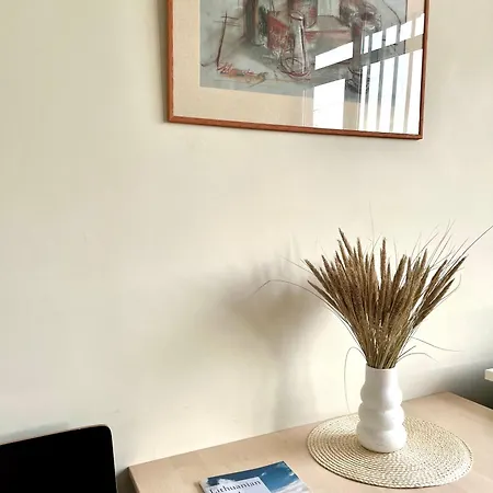 מלון Palangos Daile Self Check-in 2*