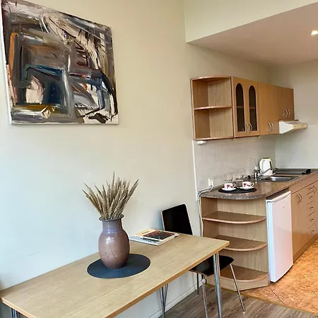 מלון Palangos Daile Self Check-in פלאנגה